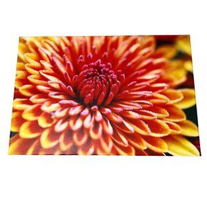 Chrysanthemum Mum Orange Flower Canvas Photo Fall Autumn Wall Art 11 x 16 x 0.75